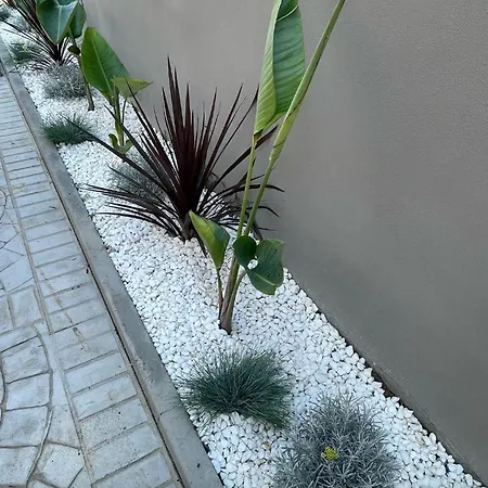 Marconi - Bed & Breakfast 3*